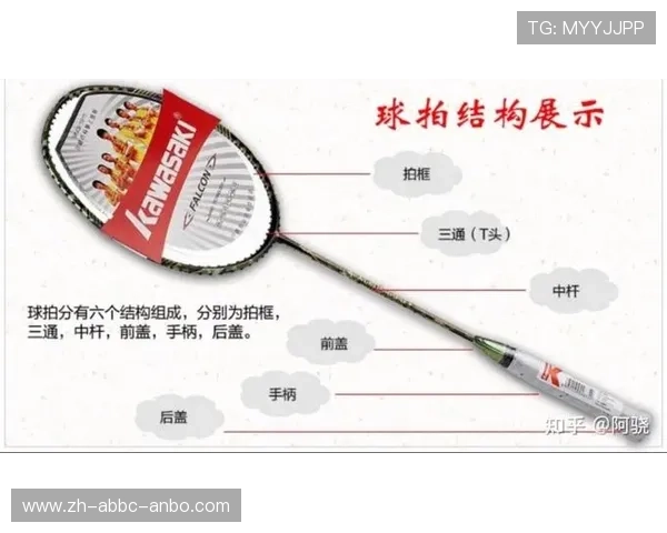 羽毛球结构介绍