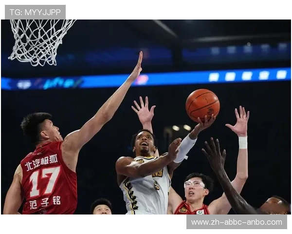 河南是否有CBA球队？省级联赛与职业梯队介绍